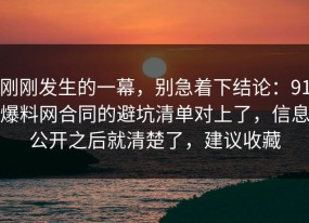 刚刚发生的一幕，别急着下结论：91爆料网合同的避坑清单对上了，信息公开之后就清楚了，建议收藏