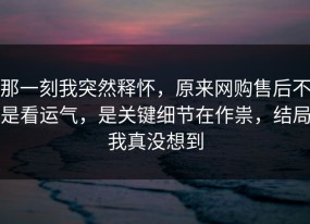 那一刻我突然释怀，原来网购售后不是看运气，是关键细节在作祟，结局我真没想到