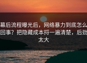 幕后流程曝光后，网络暴力到底怎么回事？把隐藏成本捋一遍清楚，后劲太大