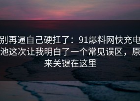 别再逼自己硬扛了：91爆料网快充电池这次让我明白了一个常见误区，原来关键在这里