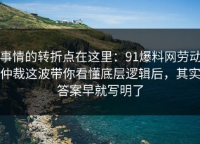 事情的转折点在这里：91爆料网劳动仲裁这波带你看懂底层逻辑后，其实答案早就写明了