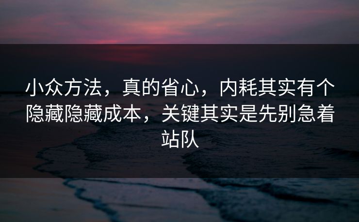 小众方法，真的省心，内耗其实有个隐藏隐藏成本，关键其实是先别急着站队