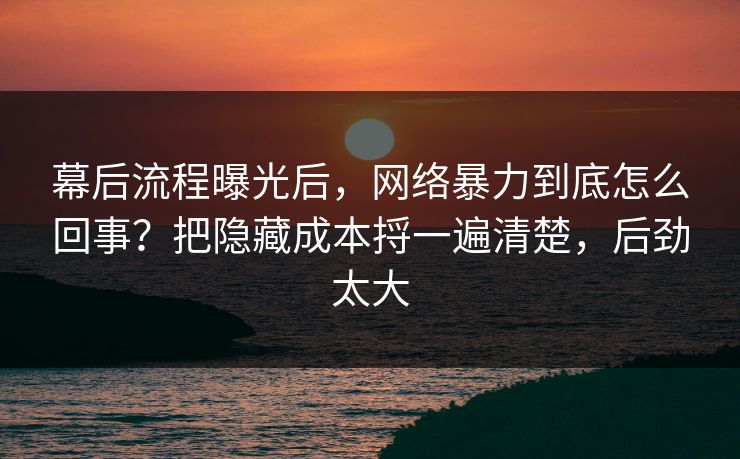 幕后流程曝光后，网络暴力到底怎么回事？把隐藏成本捋一遍清楚，后劲太大