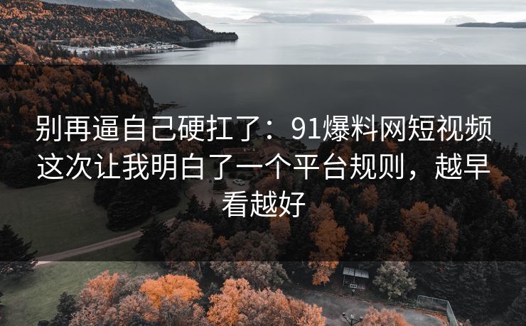 别再逼自己硬扛了：91爆料网短视频这次让我明白了一个平台规则，越早看越好