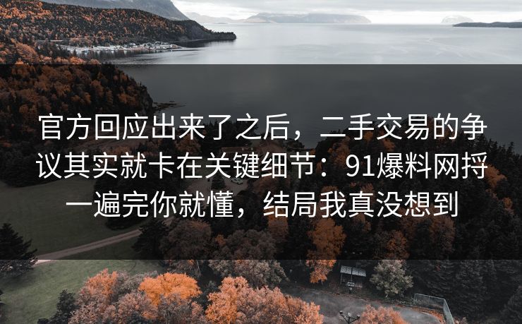 官方回应出来了之后,二手交易的争议其实就卡在关键细节:91爆料网捋一遍完你就懂,结局我真没想到 官方回应出来了之后,二手交易的争议其实就卡在关键细节:91爆料网捋一遍完你就懂,结局我真没想到