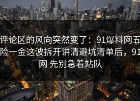 评论区的风向突然变了：91爆料网五险一金这波拆开讲清避坑清单后，91网 先别急着站队