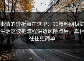 事情的转折点在这里：91爆料网极简生活这波把流程讲透风险点后，真相往往更简单
