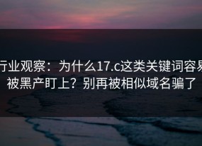 行业观察：为什么17.c这类关键词容易被黑产盯上？别再被相似域名骗了