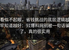 看似不起眼，省钱挑战的底层逻辑越早知道越好：91爆料网别被一句话骗了，真的很实用