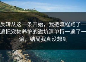 反转从这一条开始，我把流程跑了一遍把宠物养护的避坑清单捋一遍了一遍，结局我真没想到