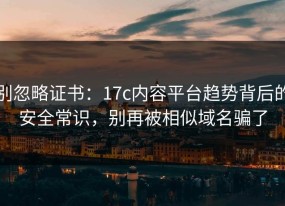 别忽略证书：17c内容平台趋势背后的安全常识，别再被相似域名骗了