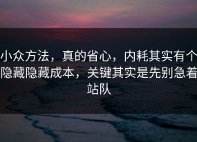 小众方法，真的省心，内耗其实有个隐藏隐藏成本，关键其实是先别急着站队