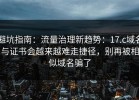 避坑指南：流量治理新趋势：17.c域名与证书会越来越难走捷径，别再被相似域名骗了