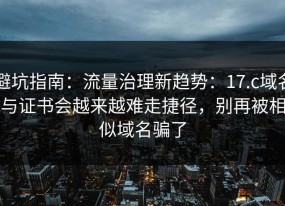 避坑指南：流量治理新趋势：17.c域名与证书会越来越难走捷径，别再被相似域名骗了