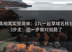 真相其实很简单：17c一起草域名核验3步走：这一步做对就稳了
