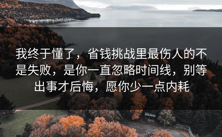 我终于懂了，省钱挑战里最伤人的不是失败，是你一直忽略时间线，别等出事才后悔，愿你少一点内耗
