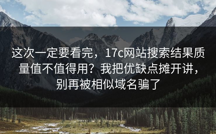 这次一定要看完，17c网站搜索结果质量值不值得用？我把优缺点摊开讲，别再被相似域名骗了