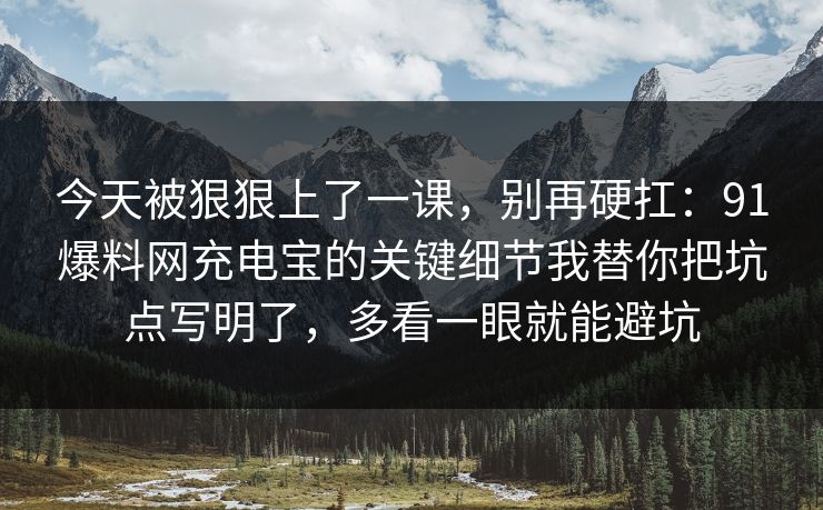 今天被狠狠上了一课，别再硬扛：91爆料网充电宝的关键细节我替你把坑点写明了，多看一眼就能避坑