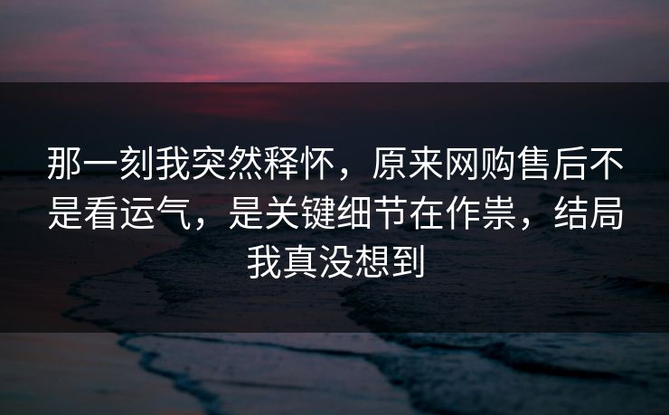 那一刻我突然释怀，原来网购售后不是看运气，是关键细节在作祟，结局我真没想到