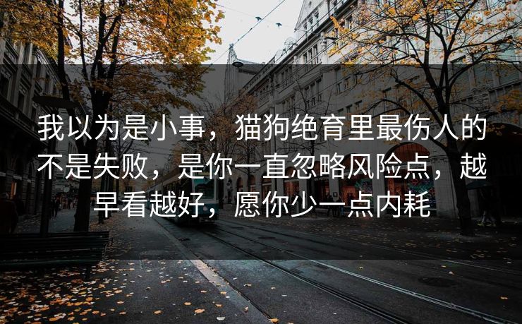 我以为是小事，猫狗绝育里最伤人的不是失败，是你一直忽略风险点，越早看越好，愿你少一点内耗