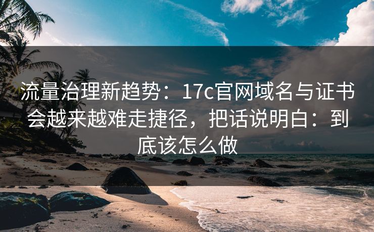 流量治理新趋势:17c官网域名与证书会越来越难走捷径,把话说明白:到底该怎么做 流量治理新趋势:17c官网域名与证书会越来越难走捷径,把话说明白:到底该怎么做